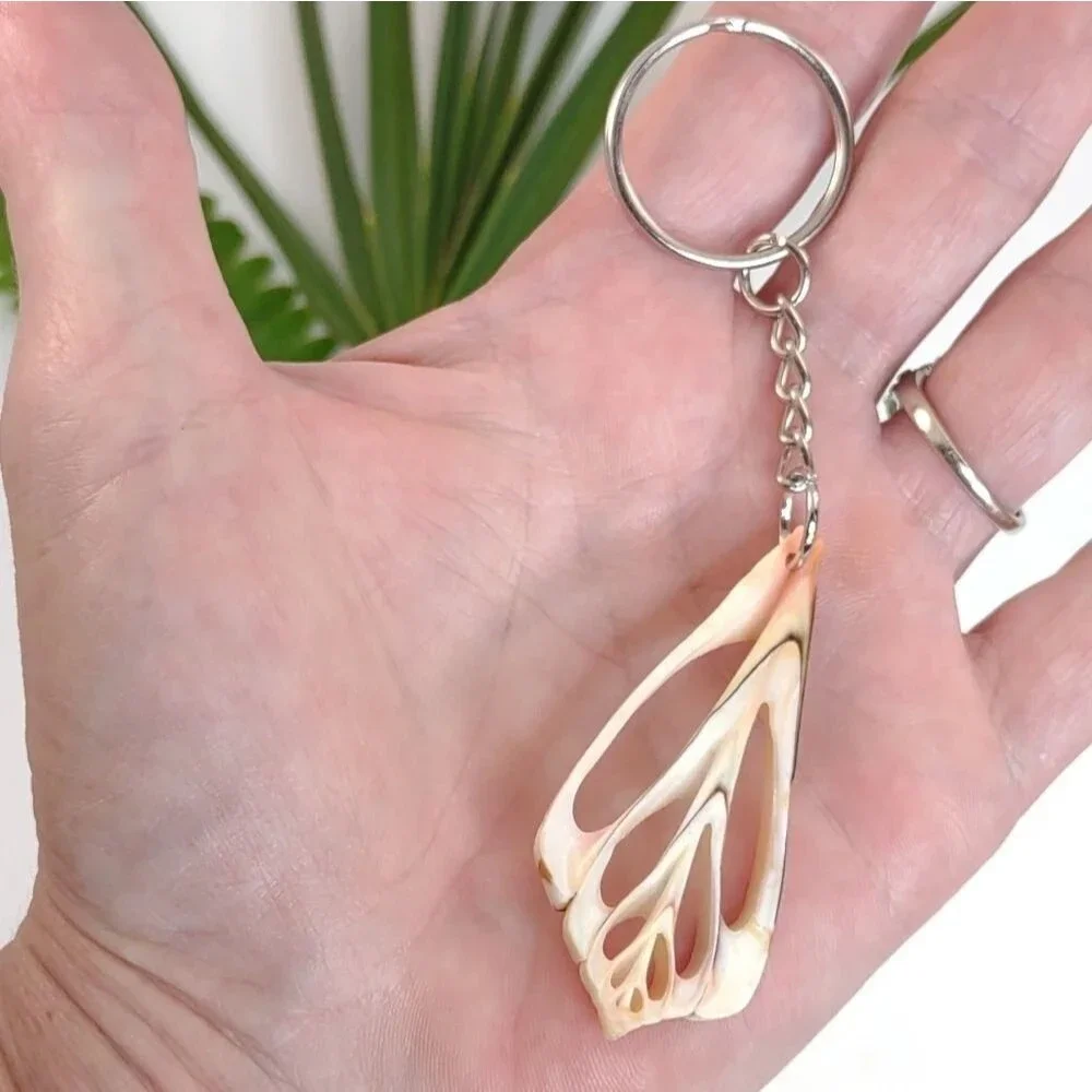 Seashell Keyring Slice Conch Seashell Clearwater Beach, Florida